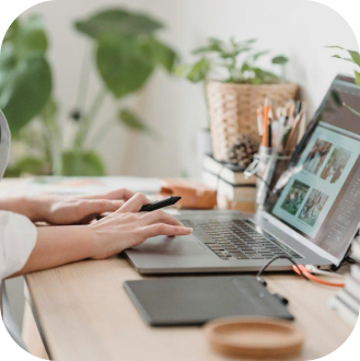 Image section : Optimisation de site existant - Marine duc digital