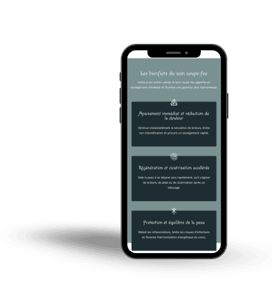 Mockup mobile section informative - Site vitrine Valkyrie